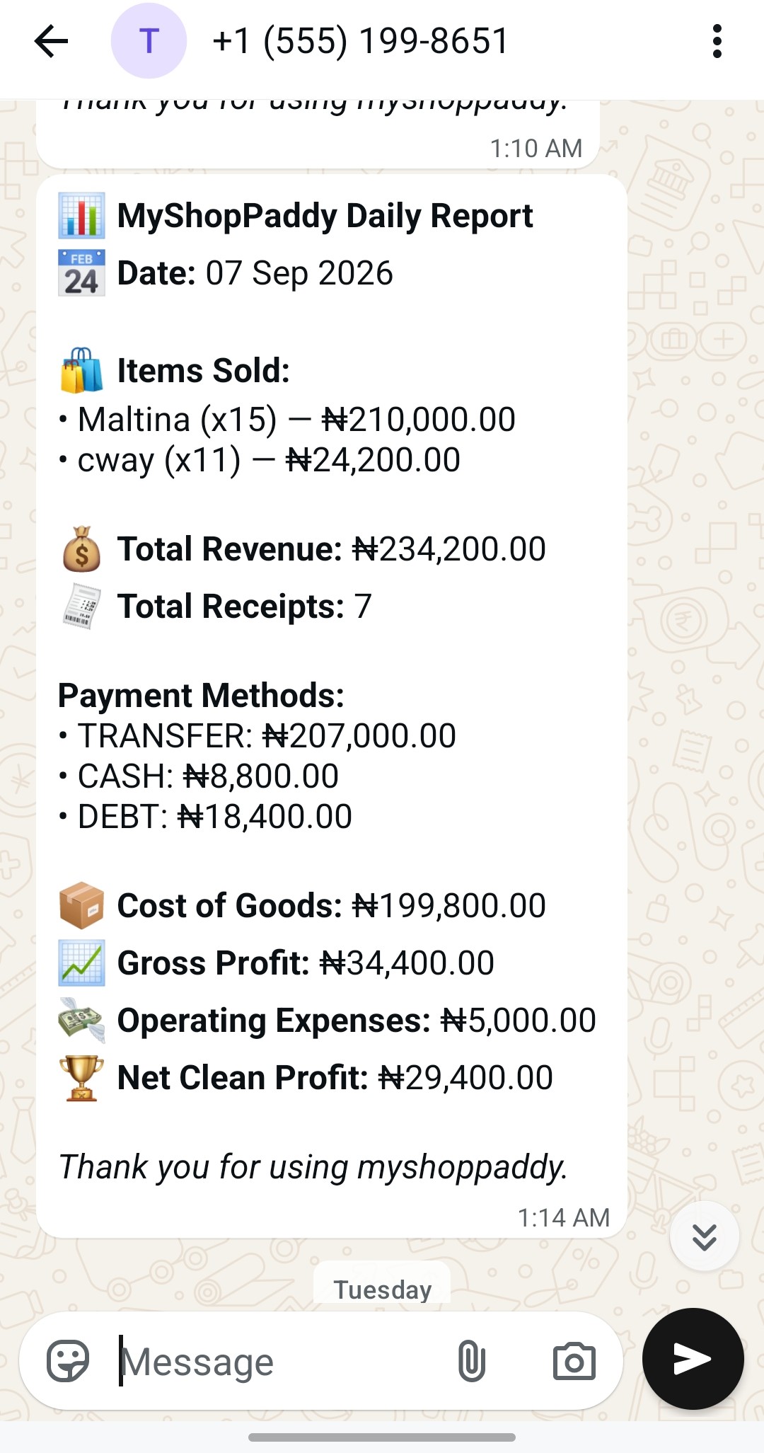 Automated Daily Sales Report Message
